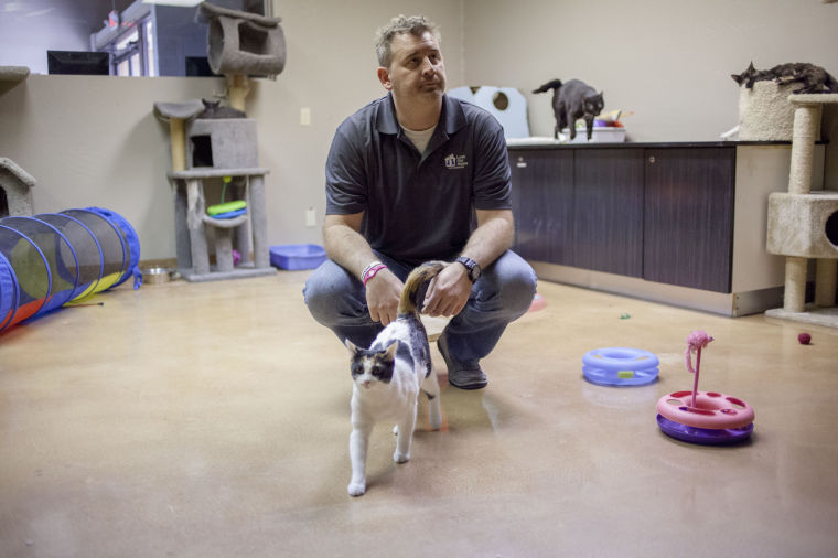 Lost Our Home Pet Foundation